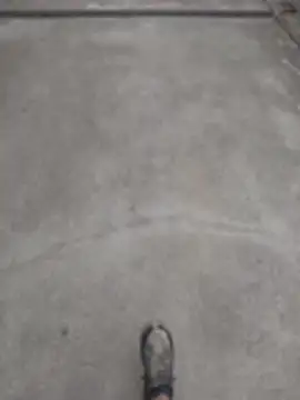 Snapshot of SnappedHagfish chatting on June 2026 05:25:01 PM SnappedHagfish online show from June 2026 05:25:01 PM