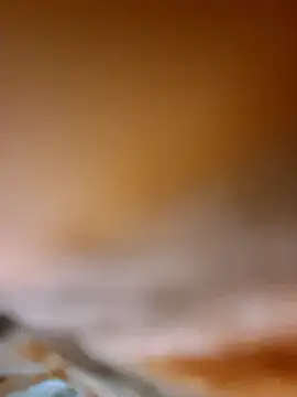 aman4404 online show from January 2026 05:21:01 AM