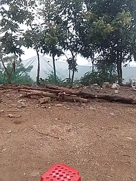 Menlike69 online show from January 2026 01:43:02 AM