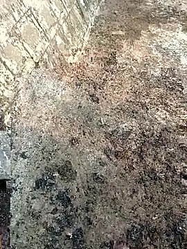 Tamilpaiyan07 online show from March 2026 02:04:02 AM