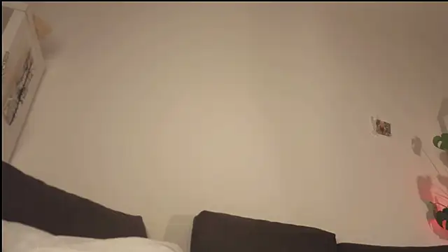 poli blink online show from April 2026 12:13:01 AM