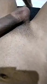 Novinhoie online show from April 2026 07:08:02 PM