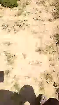 hornycouple20000 online show from March 2026 07:25:02 AM