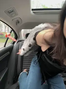 mo-mo-69 online show from April 2026 02:09:01 AM