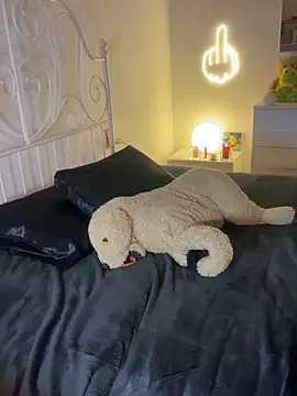 Tahero 98 online show from February 2026 08:31:02 PM