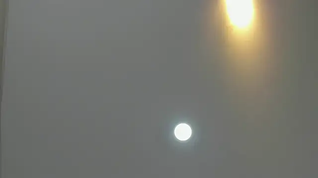 asher lux online show from March 2026 08:24:02 PM