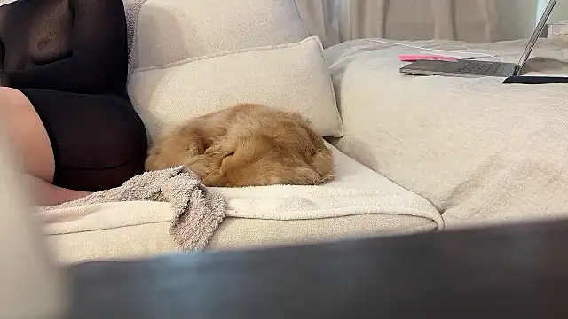 Ambrrr online show from April 2026 08:02:01 PM