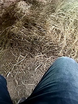 Pusssyfuc online show from June 2026 05:23:01 AM