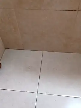 bra33 online show from January 2026 03:54:01 AM