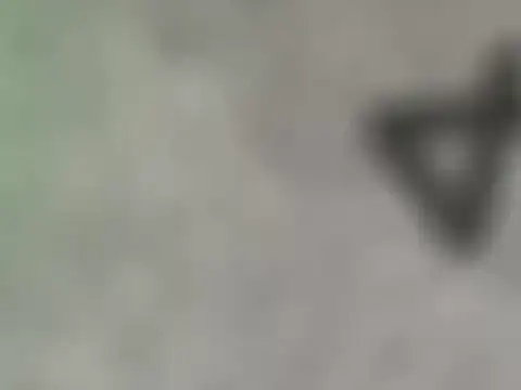 dearornge online show from March 2026 07:01:02 AM