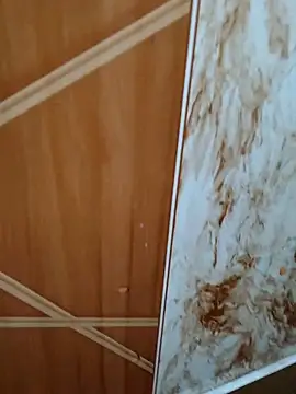 Cupalshow123 online show from February 2026 05:23:01 AM