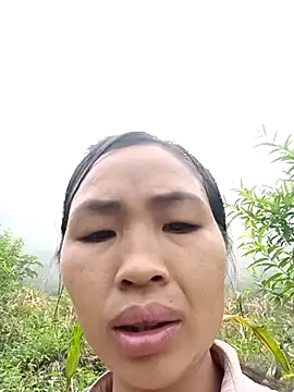 xiaogoal online show from July 2026 02:36:02 AM