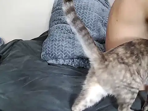 Snapshot of chris_aitrix chatting on January 2026 10:45:01 PM chris aitrix online show from January 2026 10:45:01 PM