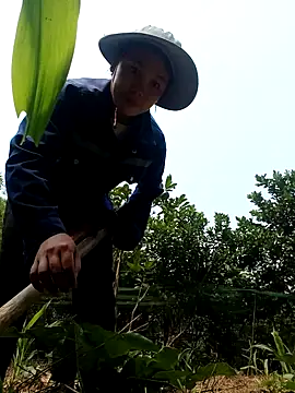 vanvan005 online show from April 2026 03:17:02 AM