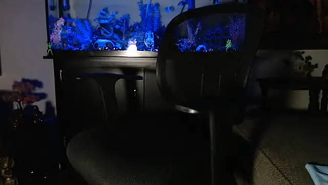 EspanolVato online show from January 2026 10:50:01 AM