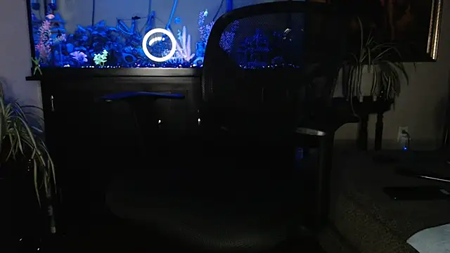 EspanolVato online show from April 2026 08:50:01 AM