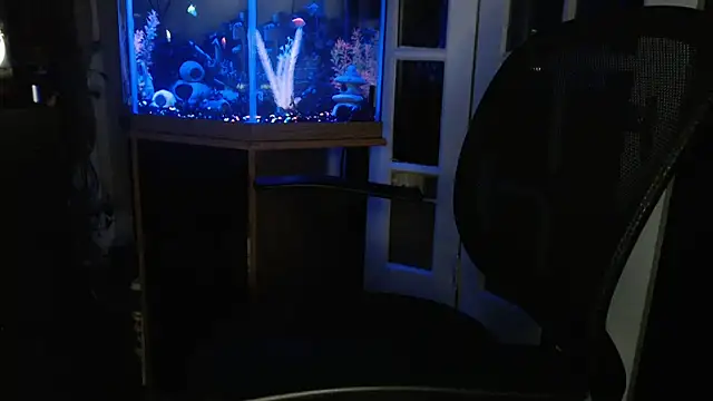EspanolVato online show from June 2026 10:36:02 AM