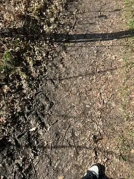 Nickwichst online show from March 2026 09:15:02 AM