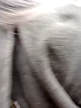 him220 online show from February 2026 01:36:02 AM