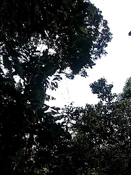 him220 online show from March 2026 06:58:01 AM