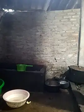 him220 online show from April 2026 12:24:01 AM