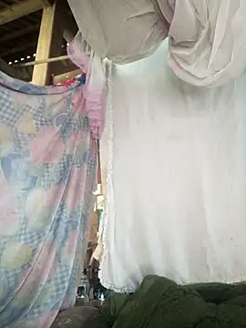 Piu 18 online show from February 2026 07:31:02 AM