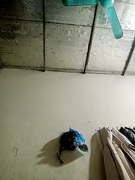 Sana-vn online show from January 2026 01:48:02 PM