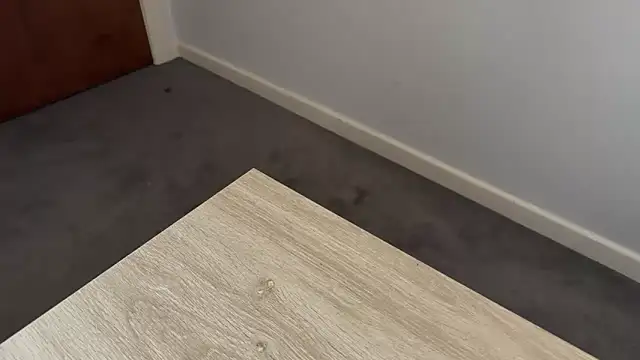 adelaide2026 online show from April 2026 03:37:02 AM