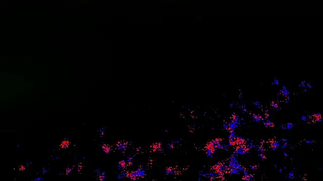 wolverinedream online show from April 2026 03:59:02 PM