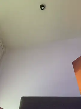 Snapshot of Dominic2295 chatting on January 2026 09:47:01 AM Dominic2295 online show from January 2026 09:47:01 AM