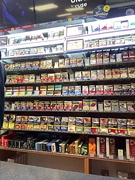 Snapshot of Dominic2295 chatting on February 2026 05:04:01 AM Dominic2295 online show from February 2026 05:04:01 AM