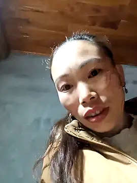 Nllpvp online show from January 2026 11:14:01 PM