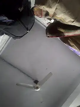 HadDrawers online show from February 2026 07:35:01 AM