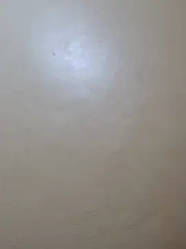 TRACYTOTO26 online show from February 2026 03:58:02 AM