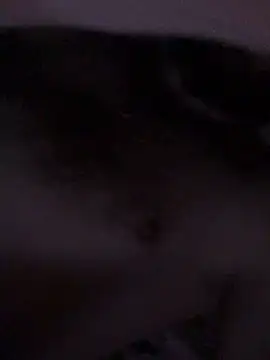 Di717 online show from March 2026 09:30:02 PM