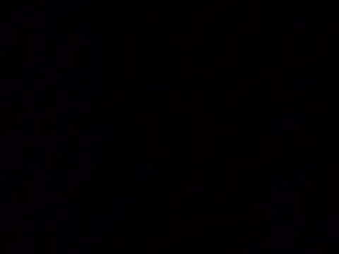 NatalieTrans916 online show from January 2026 04:04:01 AM