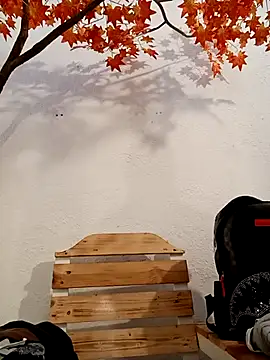 Dante Knox online show from March 2026 11:14:01 AM