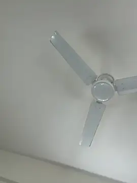 Cutenikkibaby online show from February 2026 06:33:02 AM