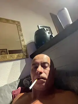 dogfrota online show from January 2026 07:02:01 AM