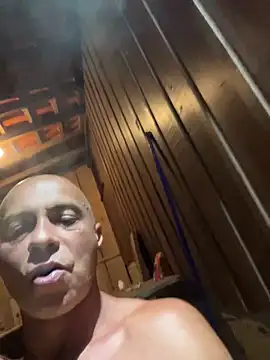 dogfrota online show from February 2026 06:42:01 AM