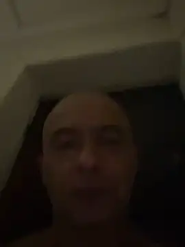 dogfrota online show from February 2026 06:47:02 AM