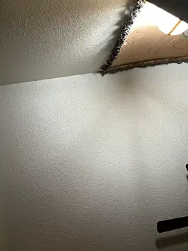 JoeyBlazy online show from January 2026 01:00:02 AM