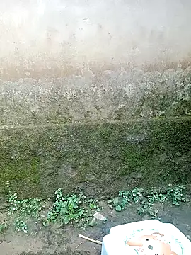 out-lustt online show from April 2026 09:45:01 AM