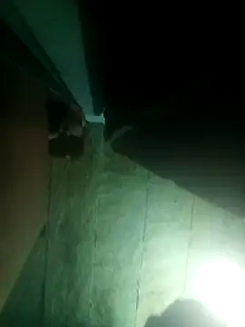 Snapshot of priyasharma899 chatting on March 2026 12:06:01 AM priyasharma899 online show from March 2026 12:06:01 AM