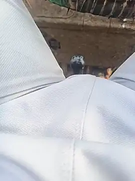 Hot BoyDick-Telugu online show from January 2026 07:57:02 AM