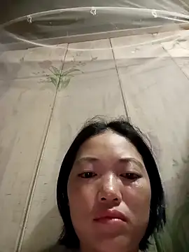 kotaka-shoow online show from April 2026 06:12:01 PM