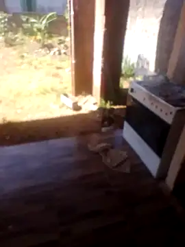 jhon Danda online show from January 2026 01:27:02 PM