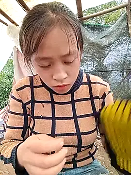 Hari-saka online show from February 2026 03:04:01 AM