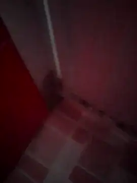 Cz Drax online show from February 2026 06:24:02 PM