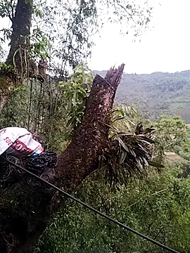 lia-coy online show from April 2026 12:43:02 AM